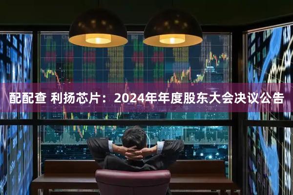 配配查 利扬芯片：2024年年度股东大会决议公告