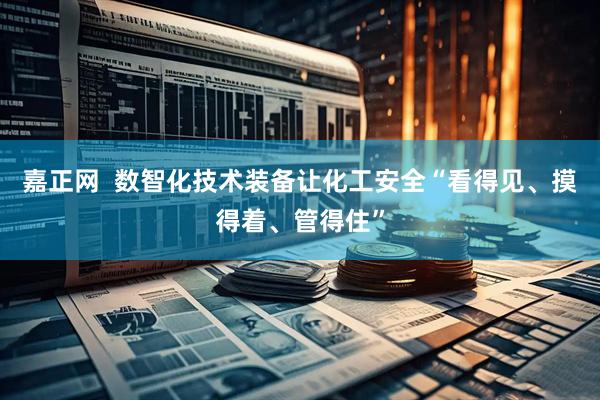 嘉正网  数智化技术装备让化工安全“看得见、摸得着、管得住”