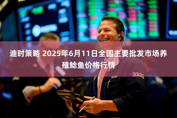 迪时策略 2025年6月11日全国主要批发市场养殖鲶鱼价格行情