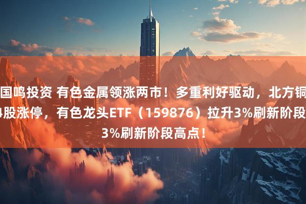 国鸣投资 有色金属领涨两市！多重利好驱动，北方铜业等4股涨停，有色龙头ETF（159876）拉升3%刷新阶段高点！