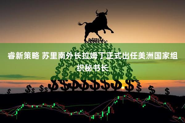 睿新策略 苏里南外长拉姆丁正式出任美洲国家组织秘书长