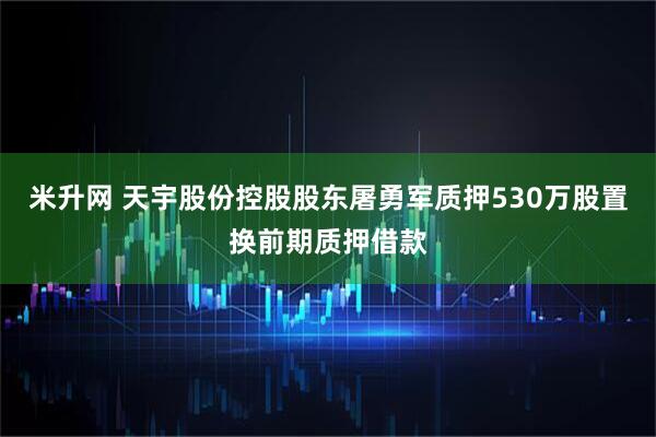 米升网 天宇股份控股股东屠勇军质押530万股置换前期质押借款